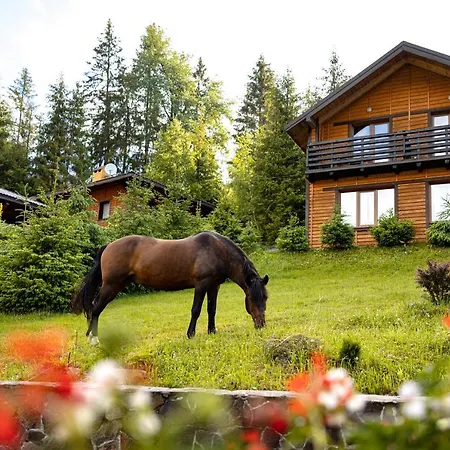 медовий двір