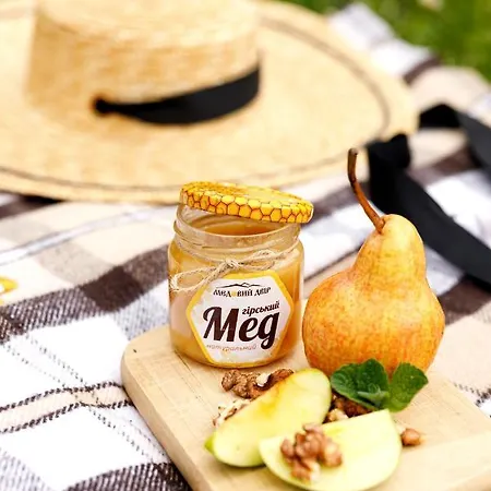 Hotel медовий двір Rozhanka Nizhnyaya