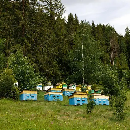медовий двір 호텔