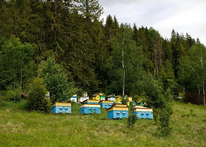 медовий двір Hotel
