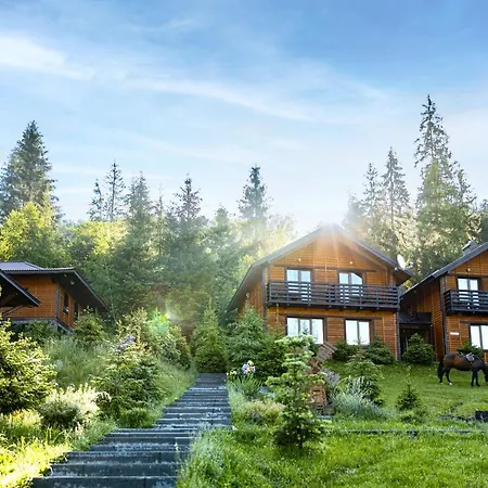 медовий двір