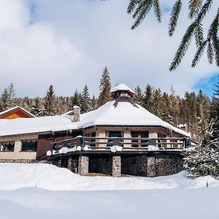 медовий двір Hotel